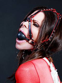 Kneeling babe in ropes loving the feeling of a big ball gag in her mouth