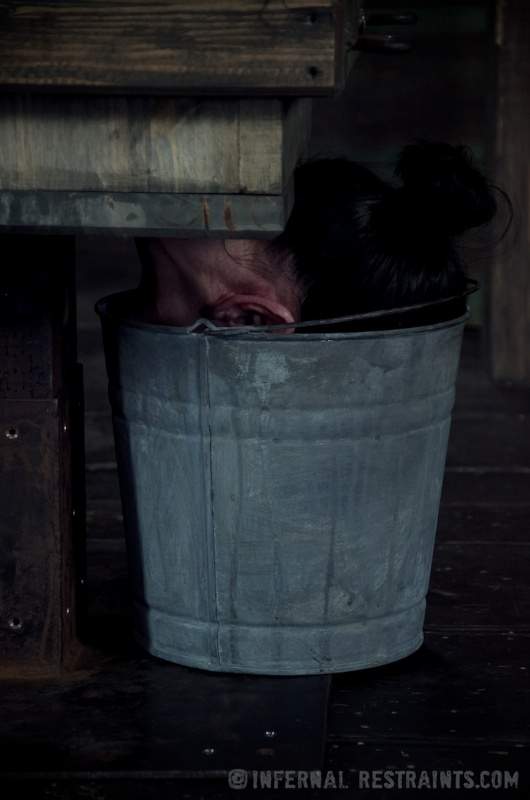 Image 7 of 16