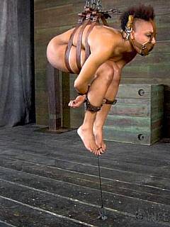 Black subgirl is ball tied with leather belts then suspended up in the air