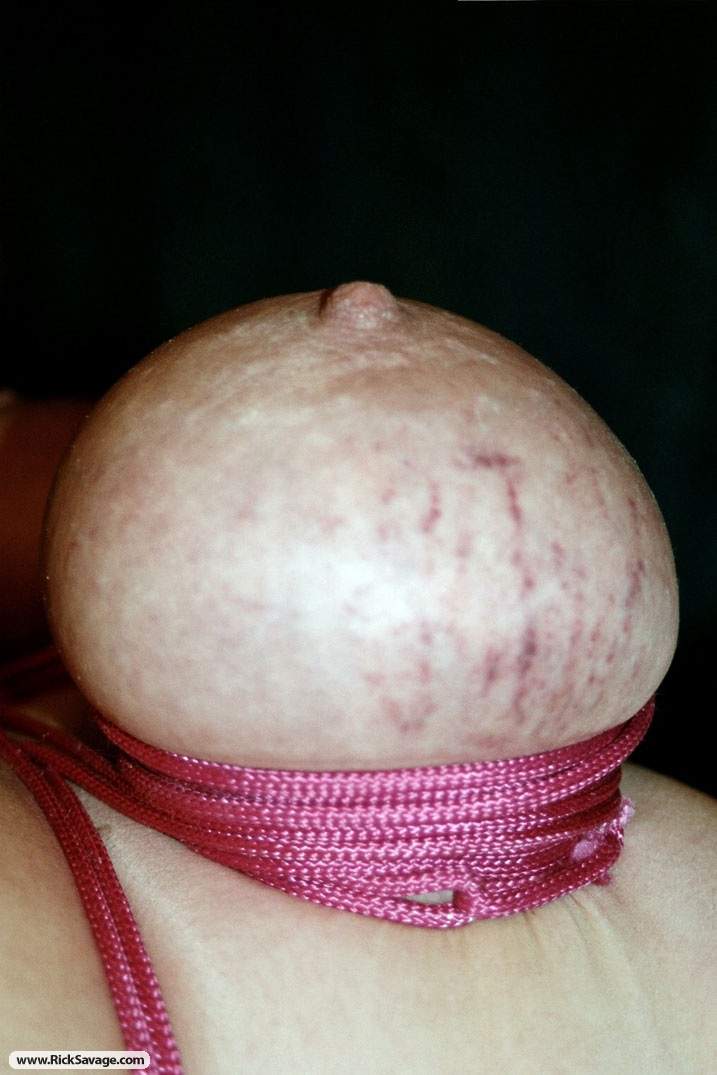 Image 12 of 15