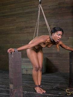 Ghetto beauty is hung on rope noose and forced to please the while master