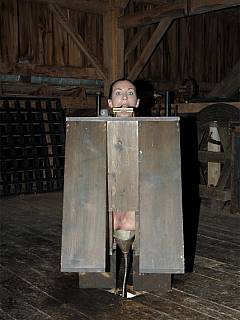Slut is locked inside a box and tortured with water