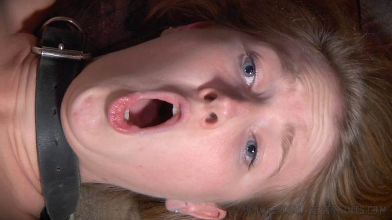 Image 2 of 16