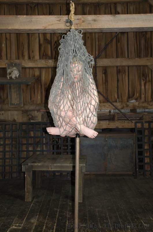Image 10 of 16