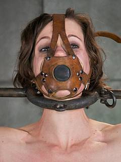 A number of spread-ties are used to keep the subgirl motionless while her body is getting whipped