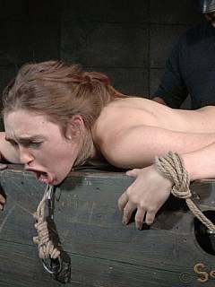 Ring-gagged captive is bent over the wooden box, roped and fucked doggy style