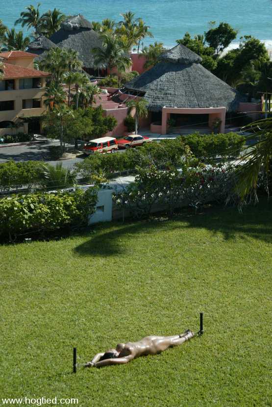 Image 13 of 15