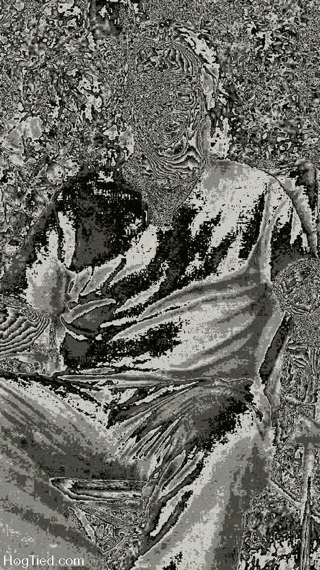 Image 15 of 15